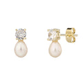 Freya Earrings - ציפוי זהב 14K